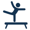 gymnastics icon